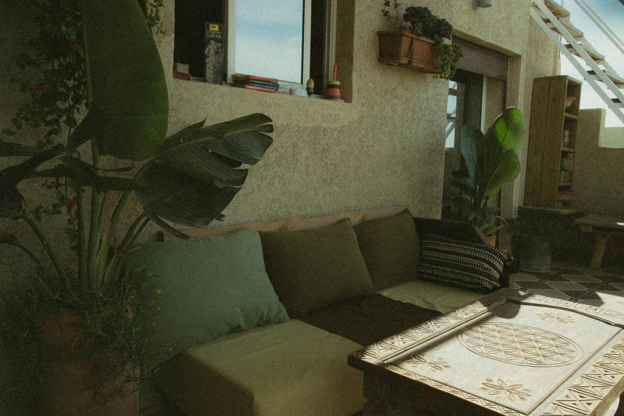 Cactus Surf Experience Ξενοδοχείο Imsouane Εξωτερικό φωτογραφία